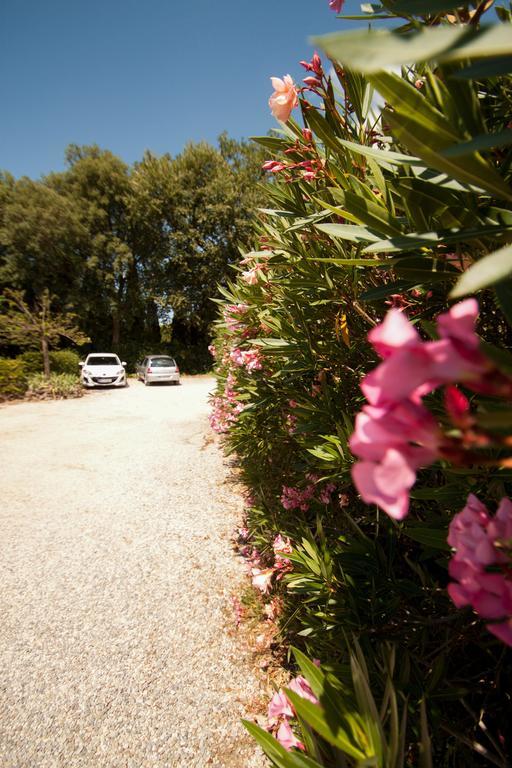 Bed & Breakfast D'hotes Du Bijou Bleu *